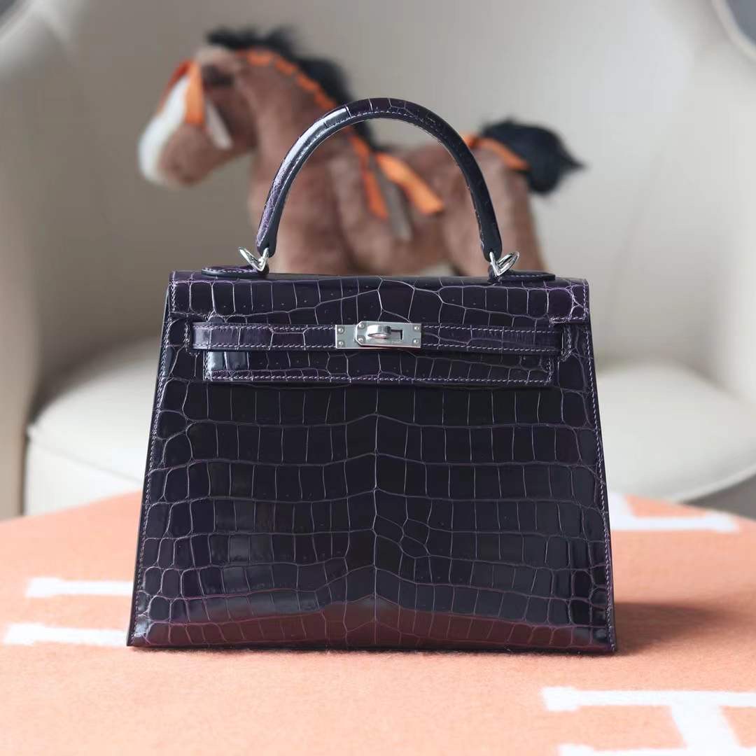Exotic crocodile bag