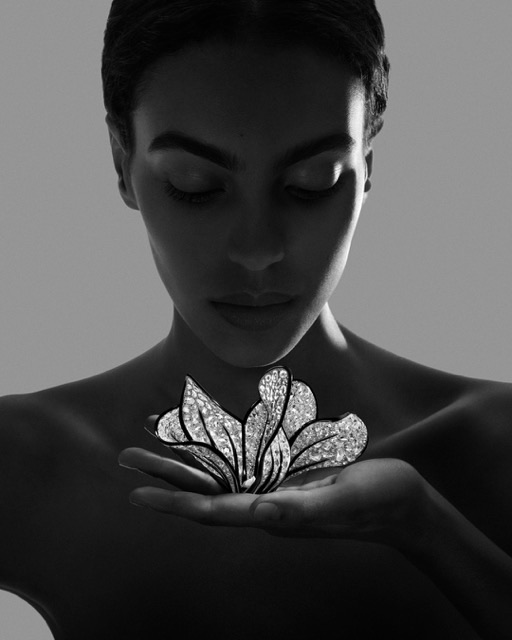 Boucheron flower brooch, editorial